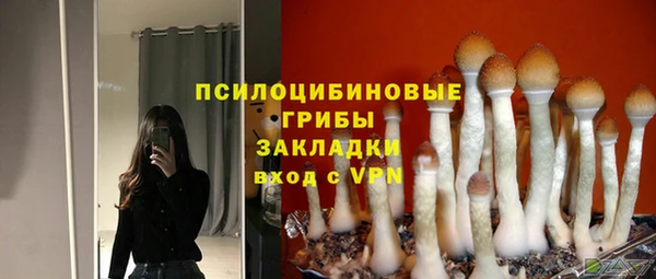 винт Володарск